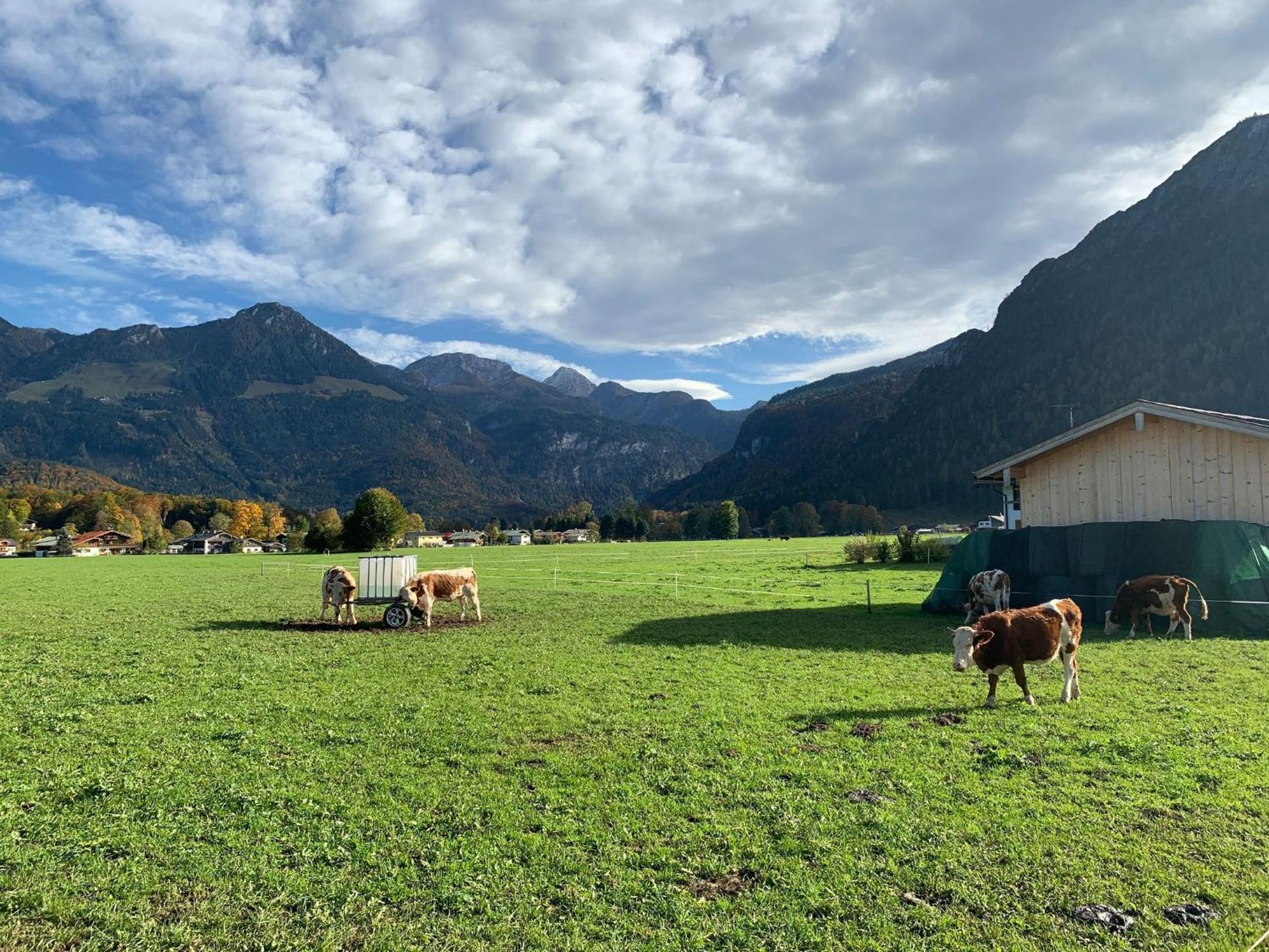 Ferienwohnung Hochkalterblick Schönau am Königssee Kültér fotó